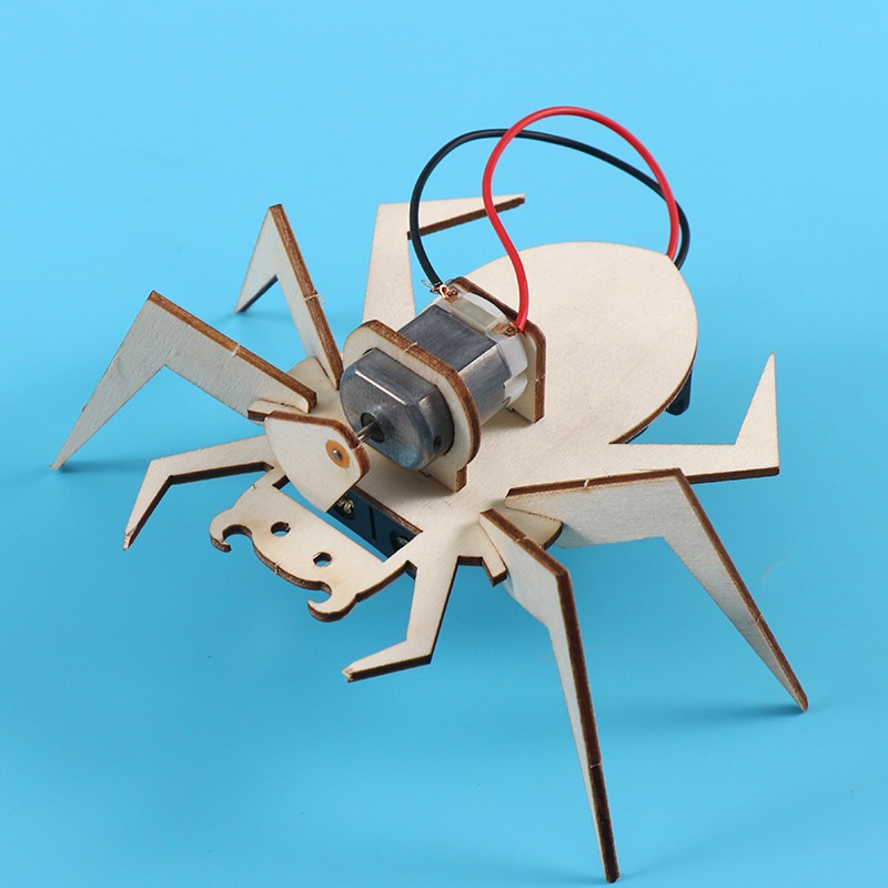 스파이더 3D 퍼즐 STEM 과학 키트 어린이용 나무  - Art And Craft Science 리뷰 및 가격